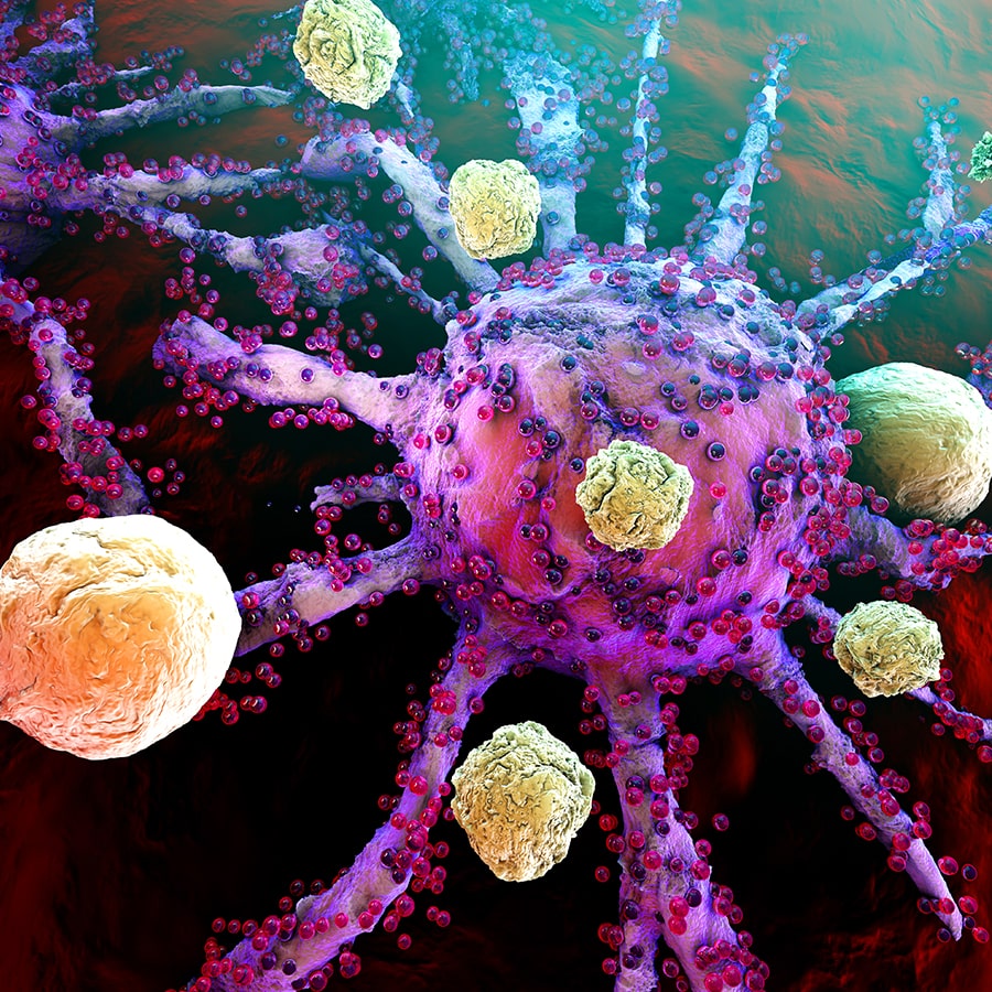 L’oncologie intégrative comme complément indispensable de la médecine conventionnelle anti cancer